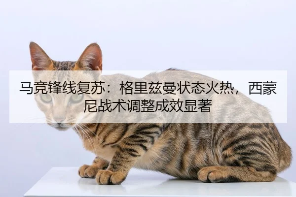 ma-jing-feng-xian-fu-su-ge-li-zi-man-zhuang-tai-huo-re-xi-meng-ni-zhan-shu-tiao-zheng-cheng-xiao-xian-zhu-2-606.jpg