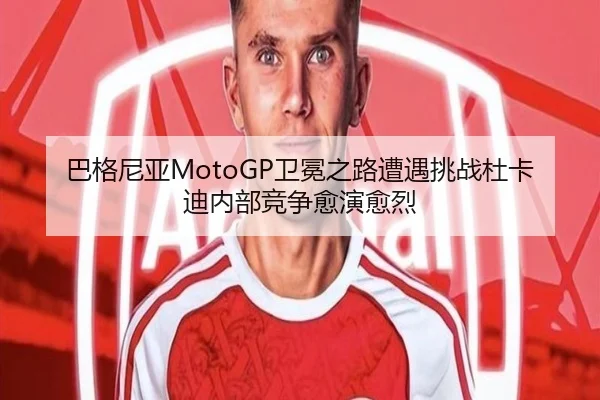 ba-ge-ni-ya-wei-mian-zhi-lu-zao-yu-tiao-zhan-du-ka-di-nei-bu-jing-zheng-yu-yan-yu-lie-2-146.jpg